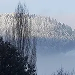 펜션 4 A 10 Personnes Avec Sauna