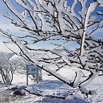 4 A 10 Personnes Avec Sauna