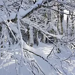 4 A 10 Personnes Avec Sauna