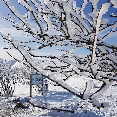 4 - 10 Person Avec Sauna La Ferme Des Sources Dans Les Hautes Vosges Сasa de vacaciones