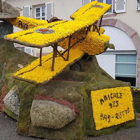 4 - 10 Person Avec Sauna La Ferme Des Sources Dans Les Hautes Vosges Ban-sur-Meurthe-Clefcy