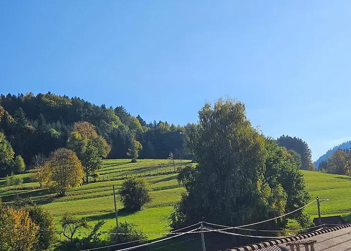 4 A 10 Personnes Avec Sauna