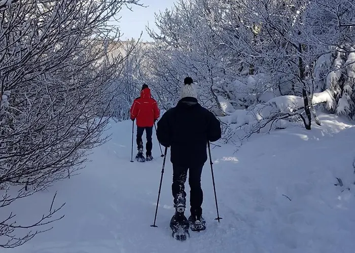 Dom wakacyjny 4 A 10 Personnes Avec Sauna